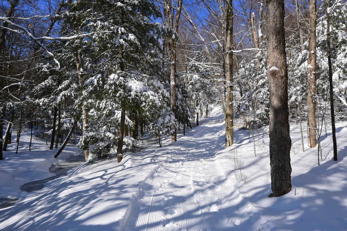 ����� ���������� ������ ����� �������  �� PhotoGeek.ru #������ ��� �������