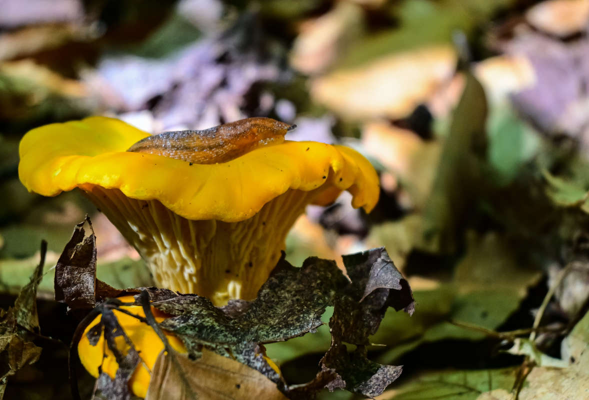 ���� �� �������� ����� �������  �� PhotoGeek.ru #�������� ��� #������ ��� �������