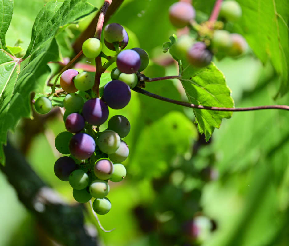 ���� ���� ����� �������  �� PhotoGeek.ru #������ ��� �������