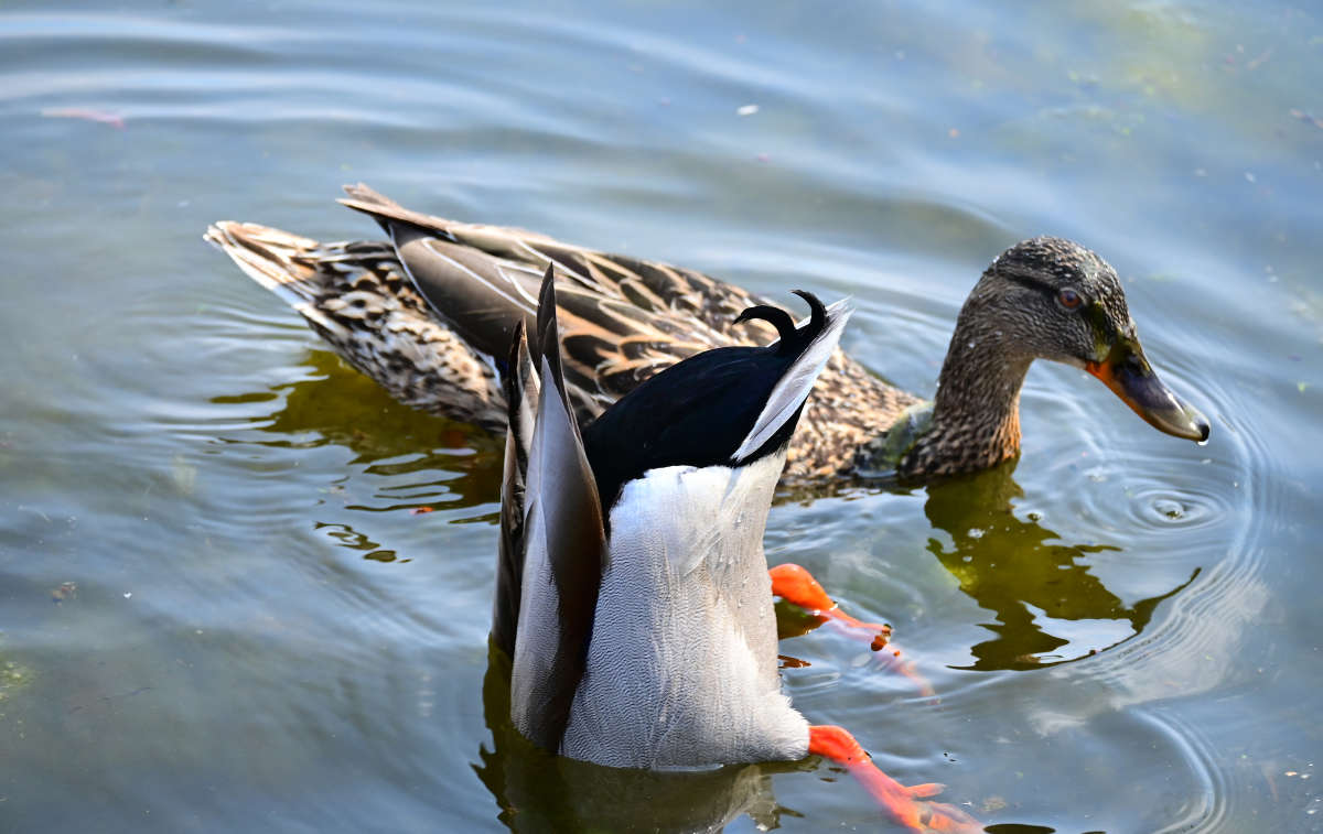 ����� �� ���������� ����� �������  �� PhotoGeek.ru #�������� ���