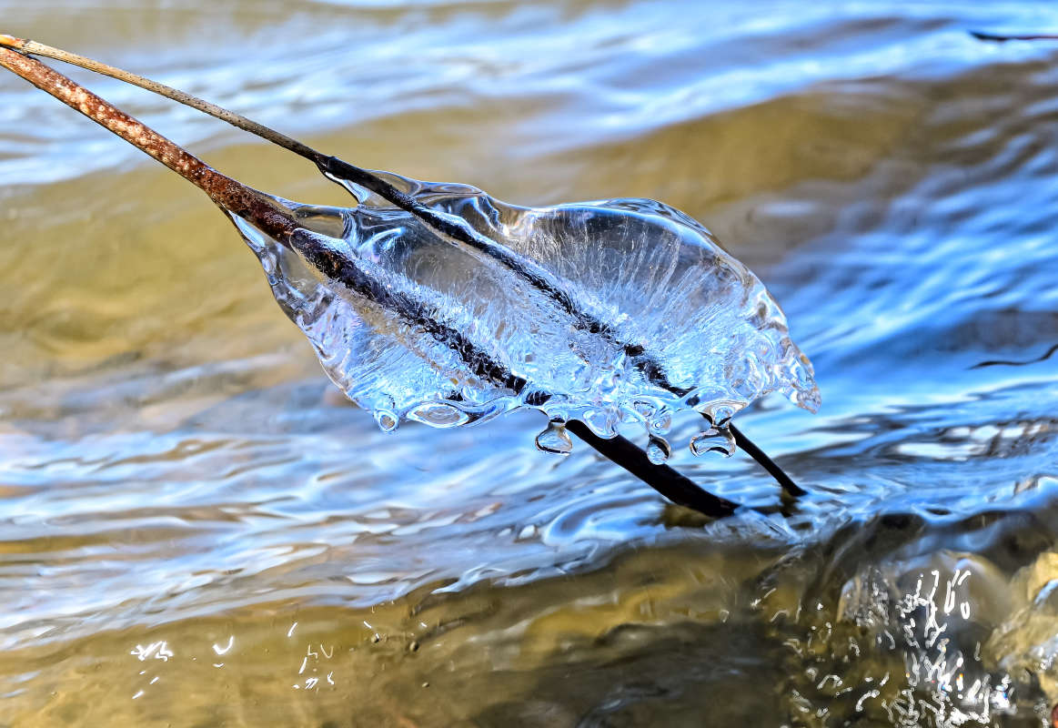 ������� �������� ����� �������  �� PhotoGeek.ru #������ ��� �������