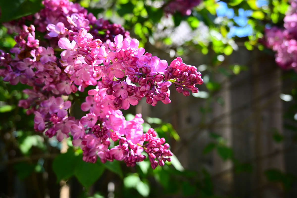 ���������� ����� �������  �� PhotoGeek.ru #������ ��� �������