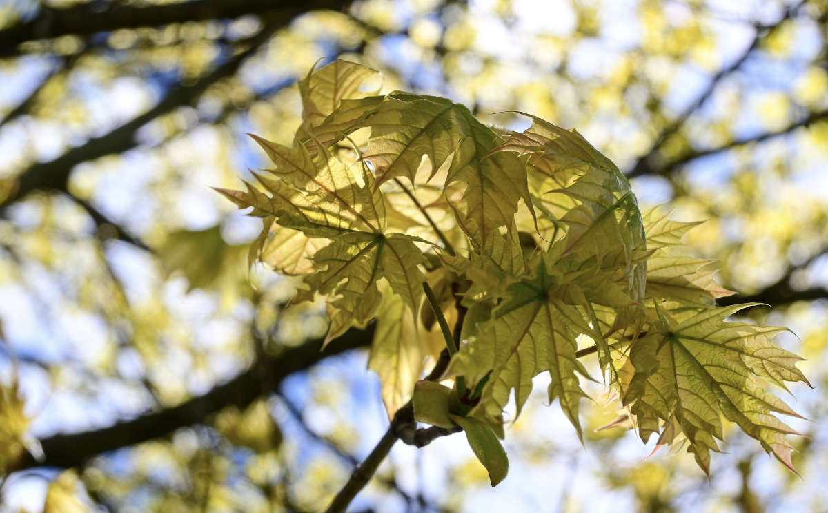 ������ ����� �������  �� PhotoGeek.ru #������ ��� �������