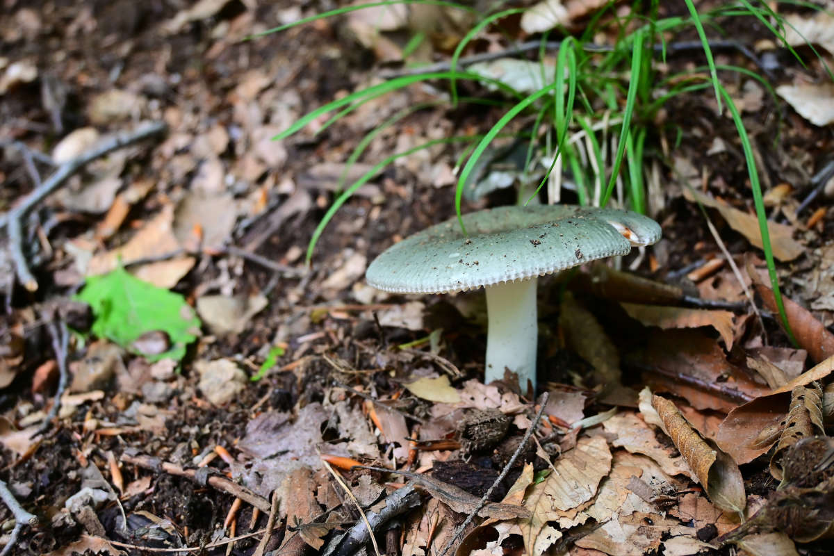 ������ ���� �� ���� ����� �������  �� PhotoGeek.ru #������ ��� �������