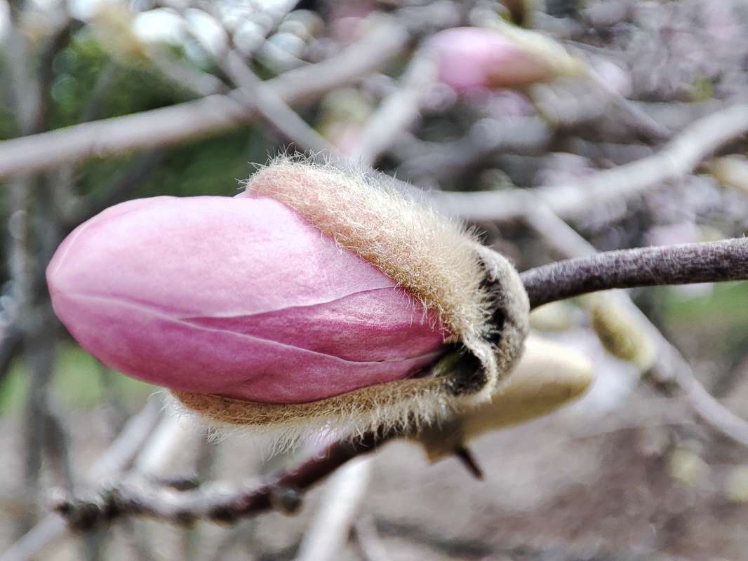 ���� �����! ����� �������  �� PhotoGeek.ru #������ ��� �������