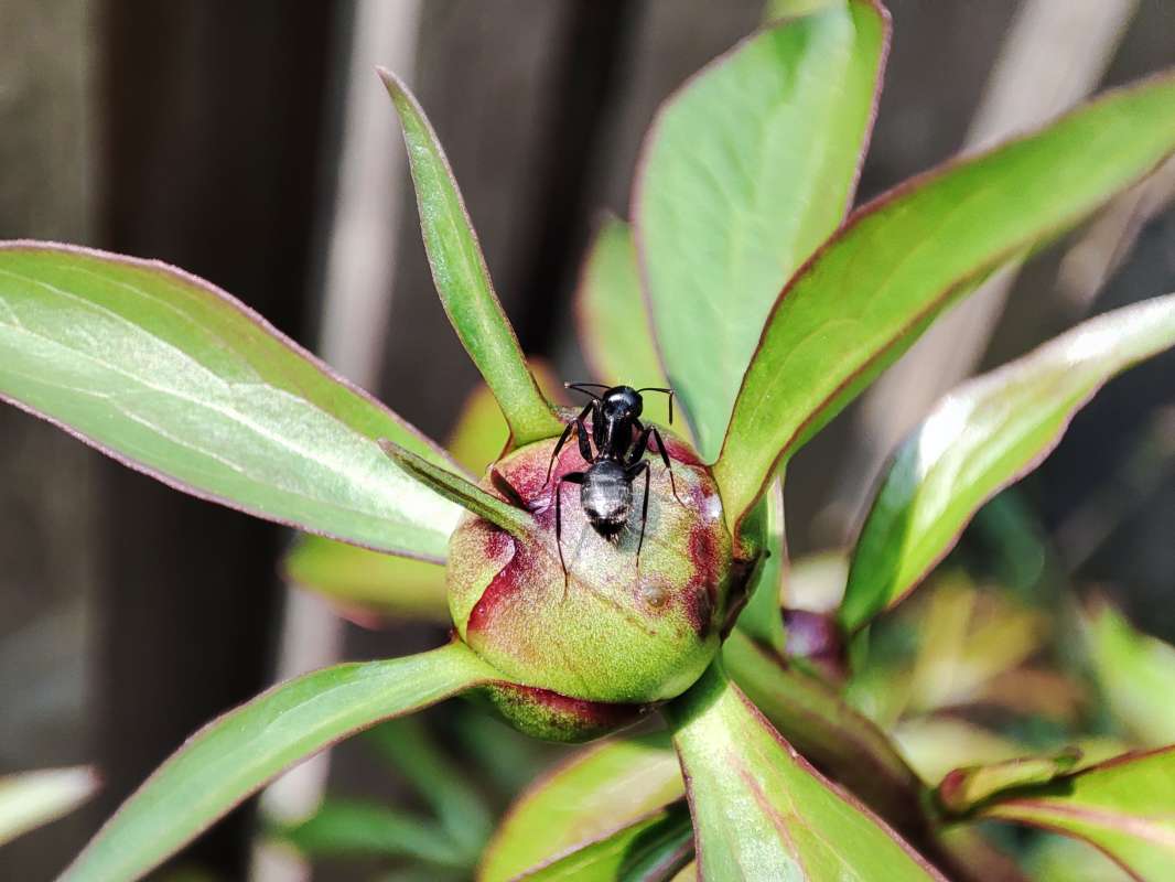 ��� - ������� ����� �������  �� PhotoGeek.ru #�������� ��� #������ ��� �������