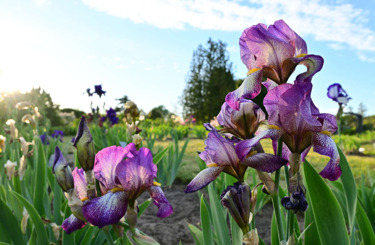 ��������������� ����� �������  �� PhotoGeek.ru #������ ��� �������