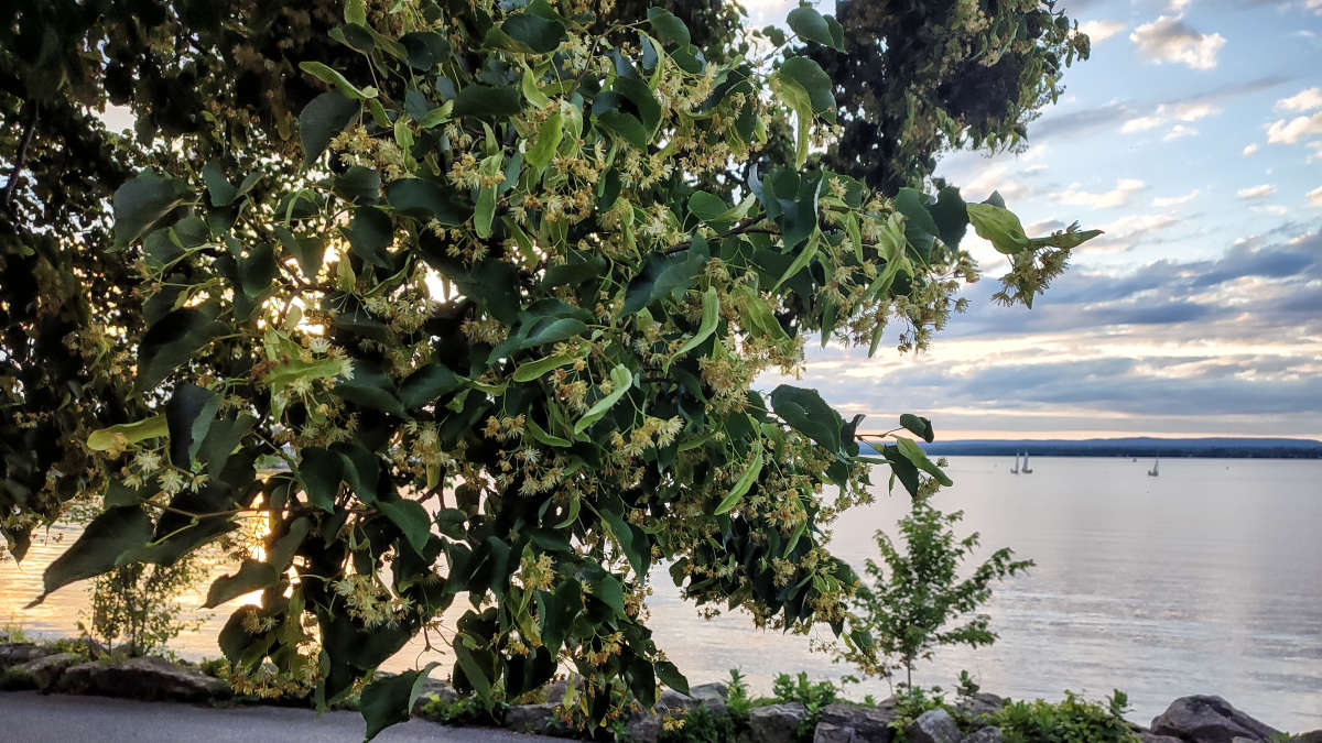 ����� ���� �� ����� ������� ����� �������  �� PhotoGeek.ru #������ ��� �������