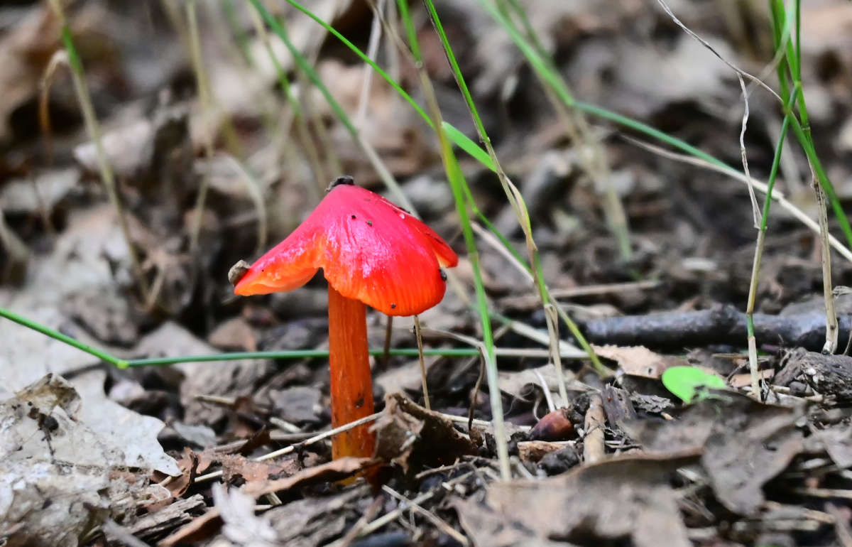 ����� ���� ����� �������  �� PhotoGeek.ru #������ ��� �������