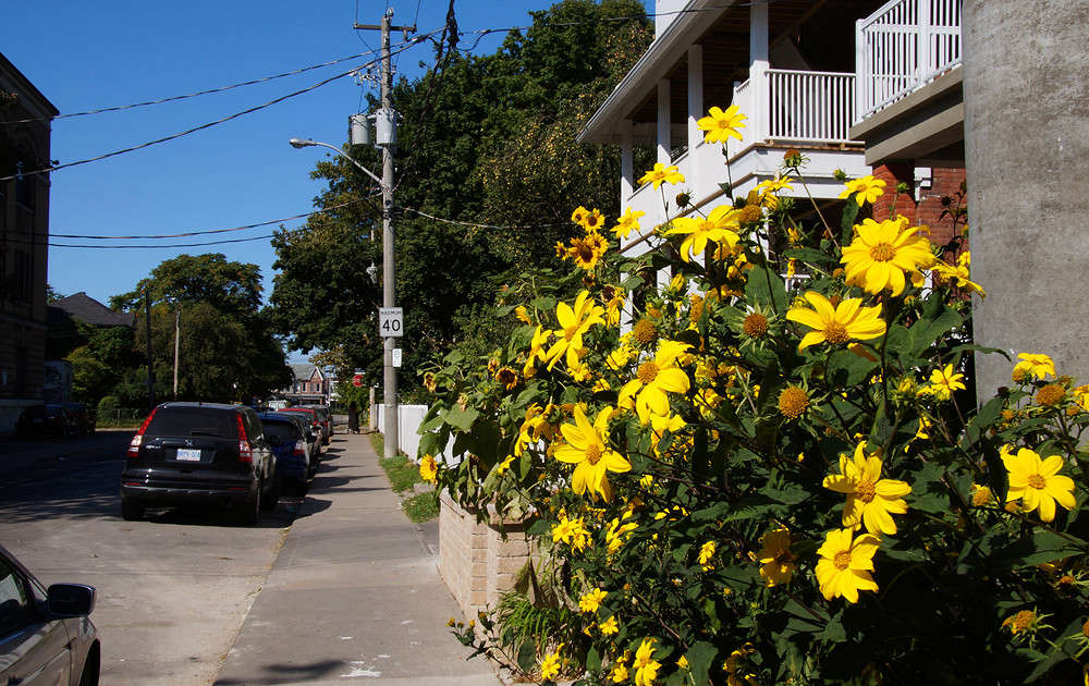 �������� ������ ������� ����� �������  �� PhotoGeek.ru #�����