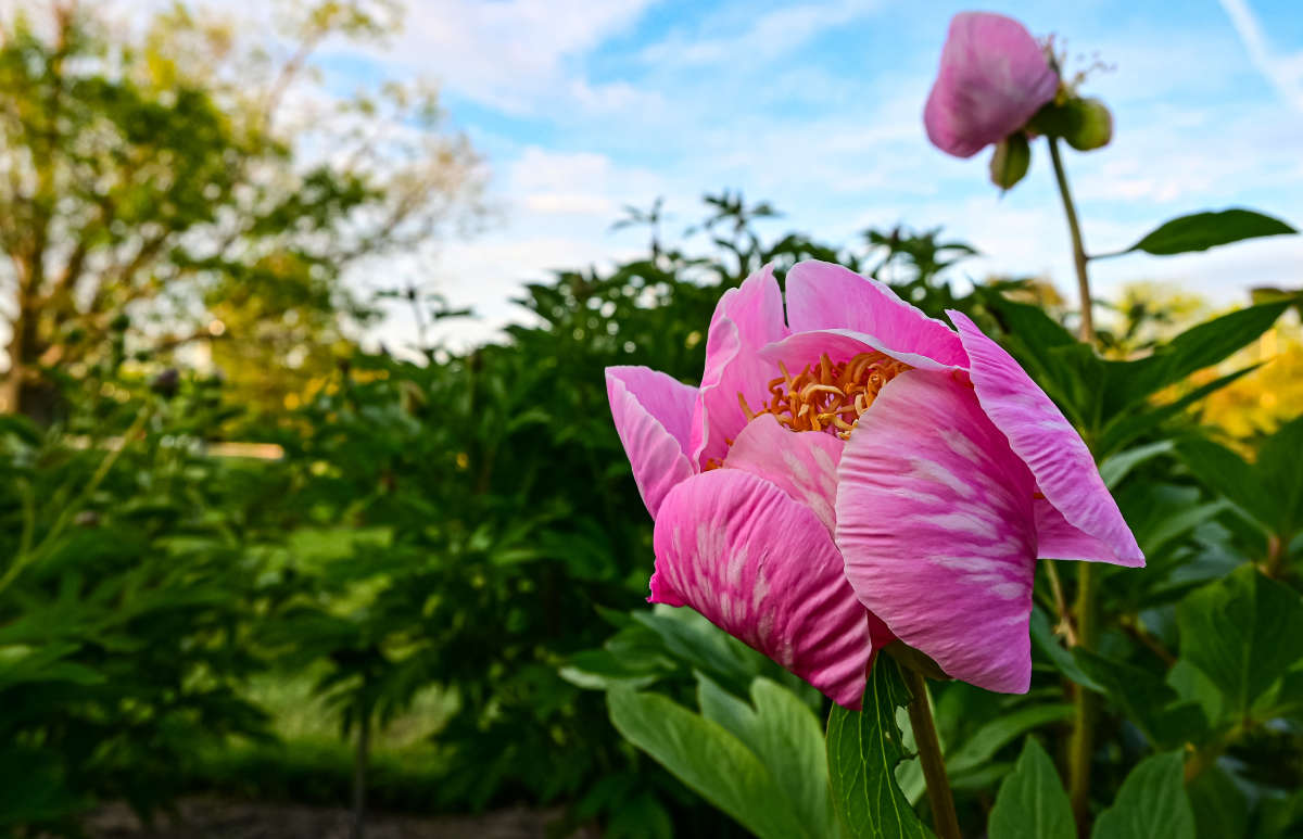 ������ ����� ����� �������  �� PhotoGeek.ru #������ ��� �������