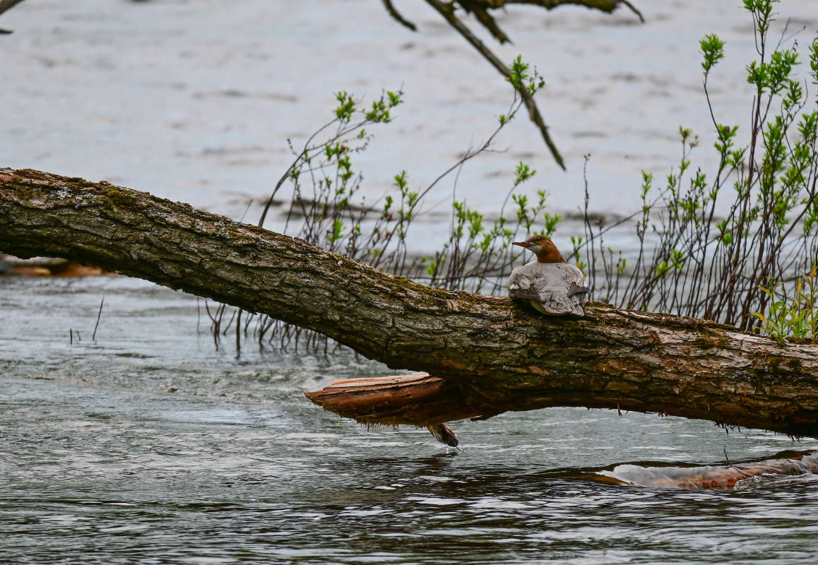 ������ ����� ����� ����� �������  �� PhotoGeek.ru #�������� ��� #������ ��� �������