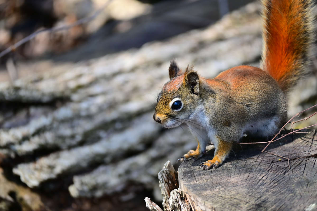 ������� ����� �������  �� PhotoGeek.ru #�������� ���