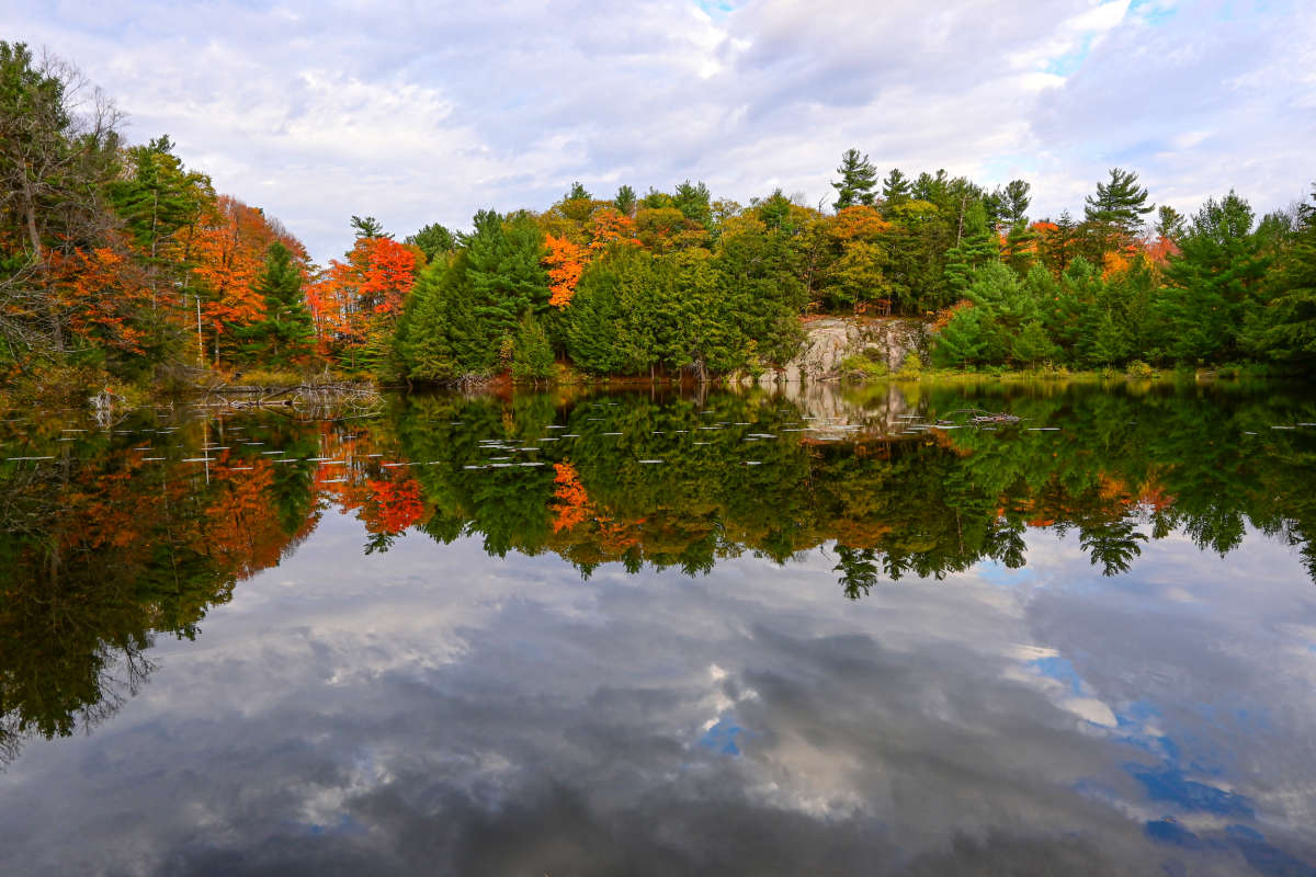 ��� ��� ��� ����� � ����� ����� �������  �� PhotoGeek.ru #������ ��� �������