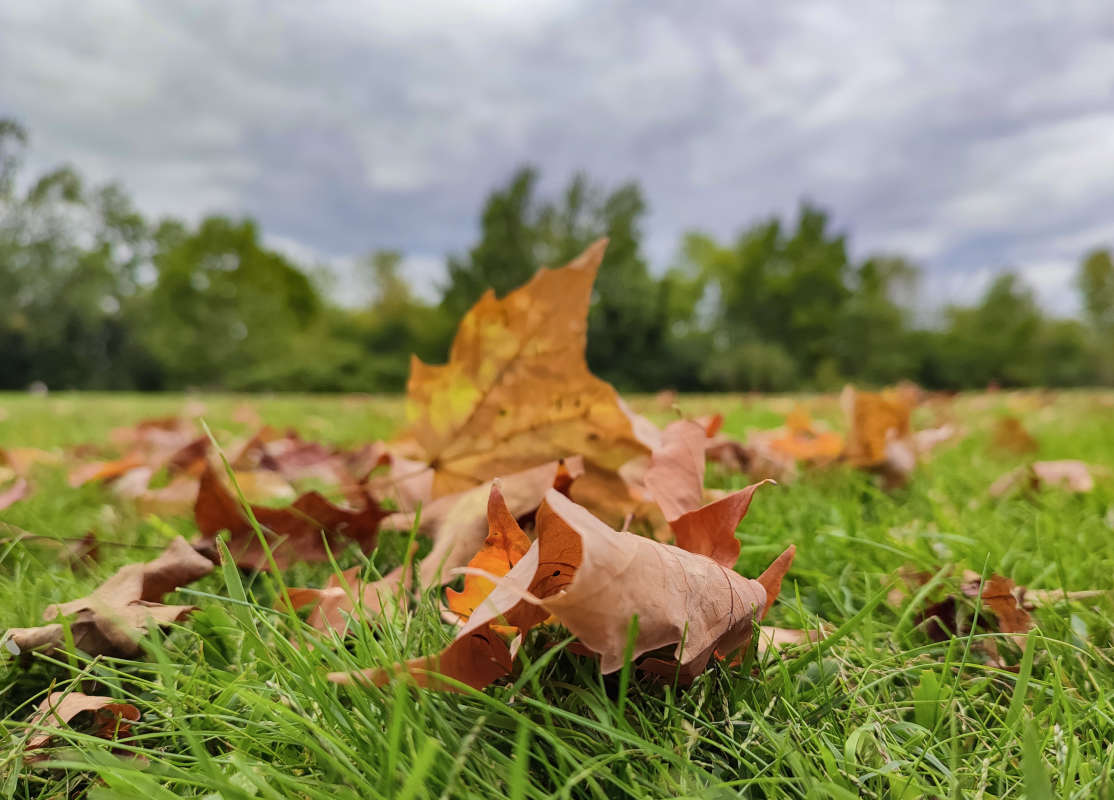 ��������� ������ �������� ����� �������  �� PhotoGeek.ru #������ ��� �������