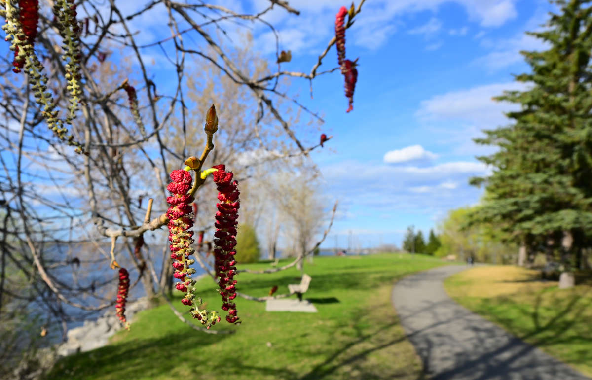 ���� ������ �� ������� ����� �������  �� PhotoGeek.ru #������ ��� �������