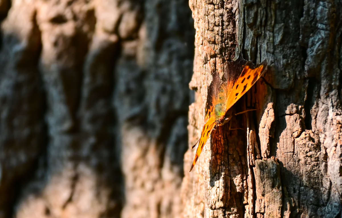 ��������� ����� �������  �� PhotoGeek.ru #�������� ����������