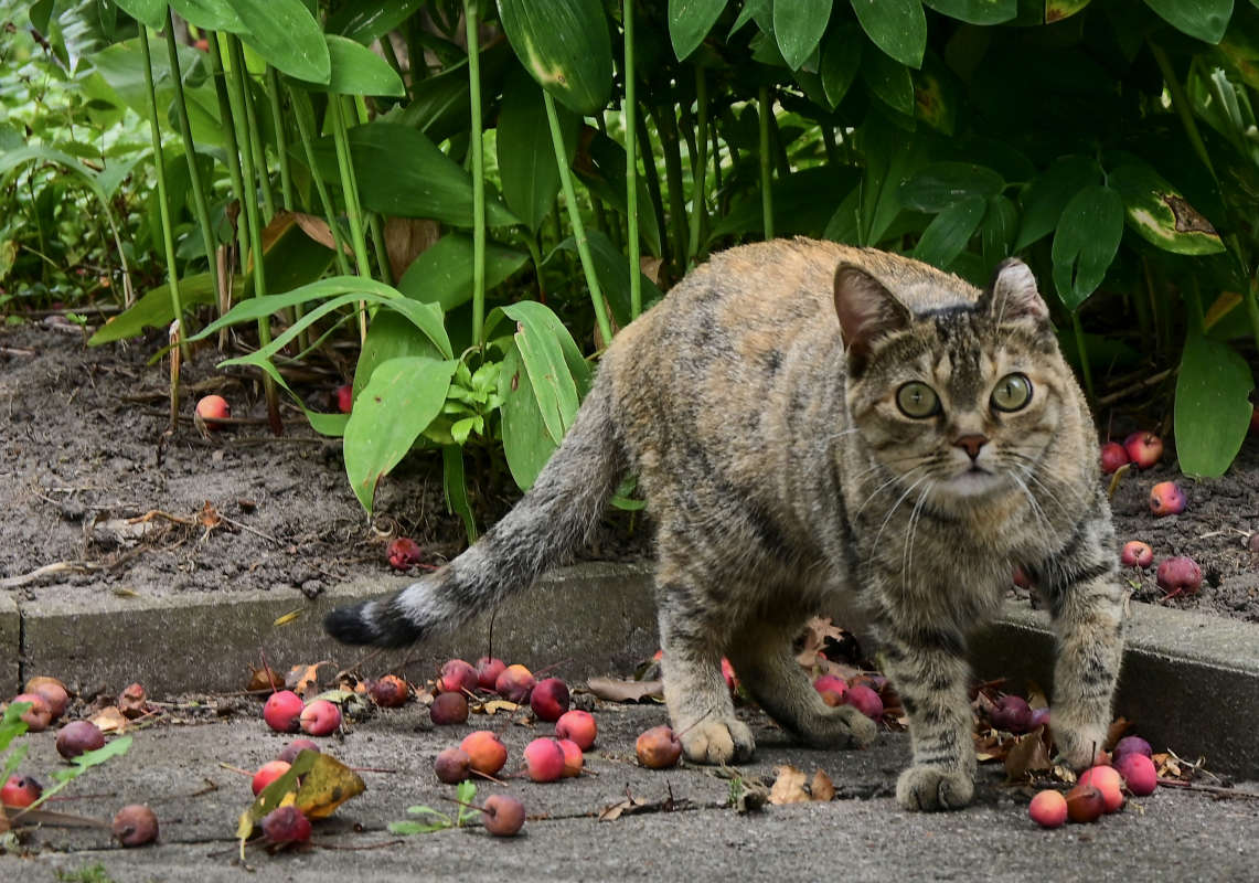 ���� ������ ����� �������  �� PhotoGeek.ru #�������� ����������