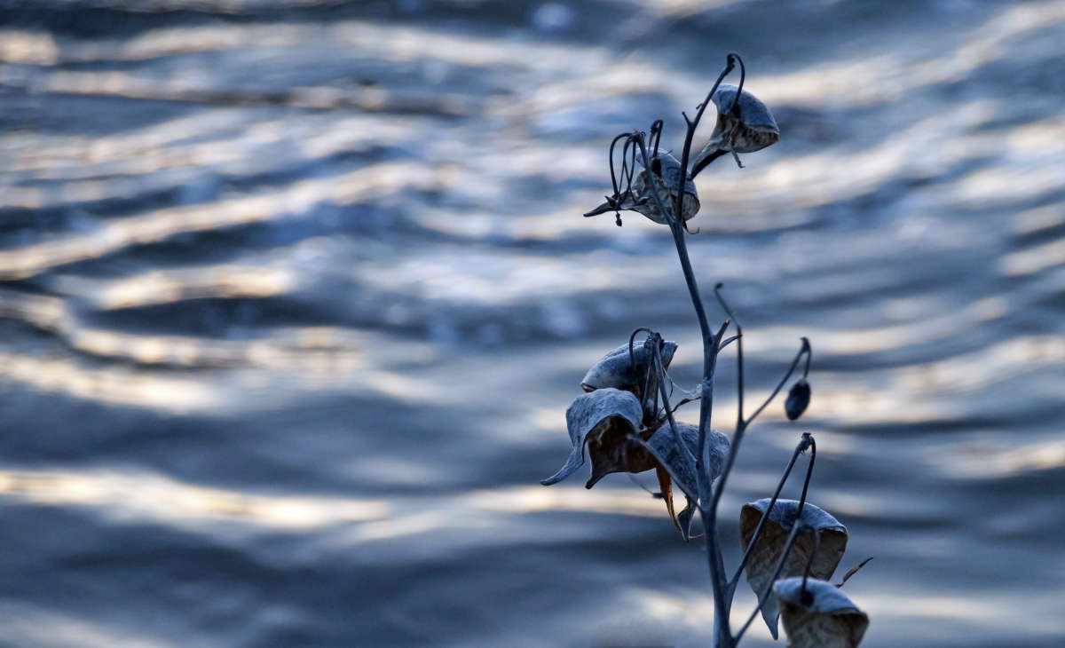 ����� �������� ����� �������  �� PhotoGeek.ru #������ ��� �������