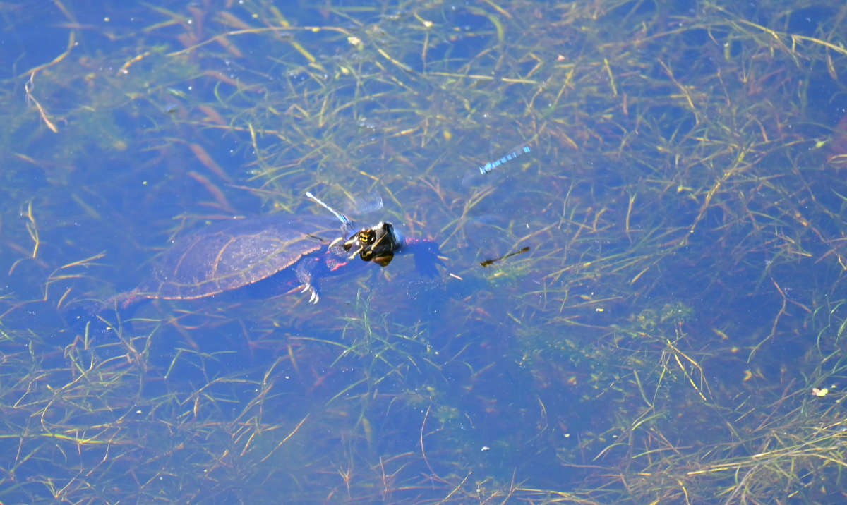 ������ ��������� ����� �������  �� PhotoGeek.ru #�������� ���