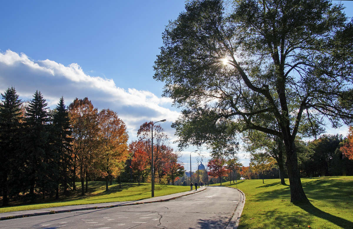 Le parc du Mont-Royal ����� �������  �� PhotoGeek.ru #�����