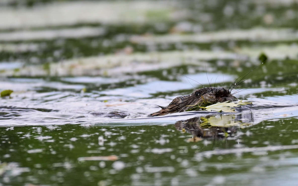 ������ ����� ��� ����� �������  �� PhotoGeek.ru #�������� ���