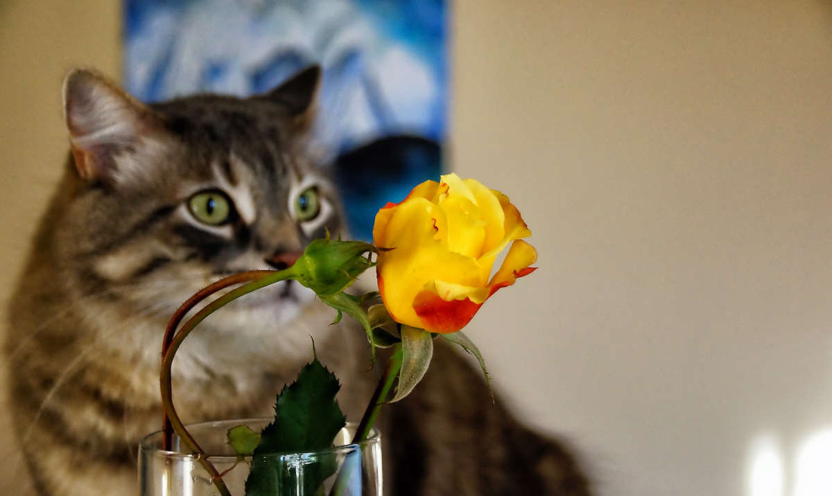 ��������� ����� �������  �� PhotoGeek.ru #�������� ���