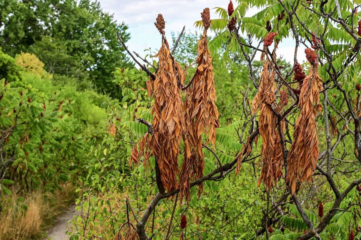 �� ���� ����� ������... ����� �������  �� PhotoGeek.ru #������ ��� �������