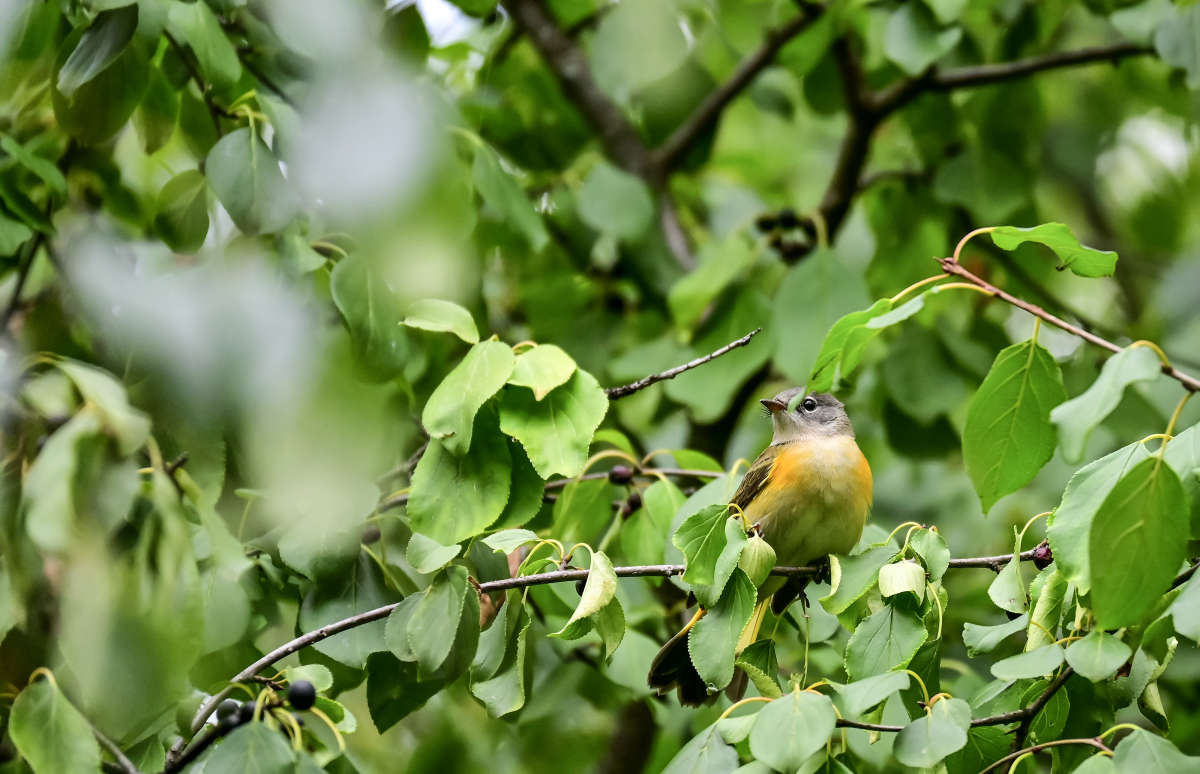 ������ ����� ����� �������  �� PhotoGeek.ru #�������� ���