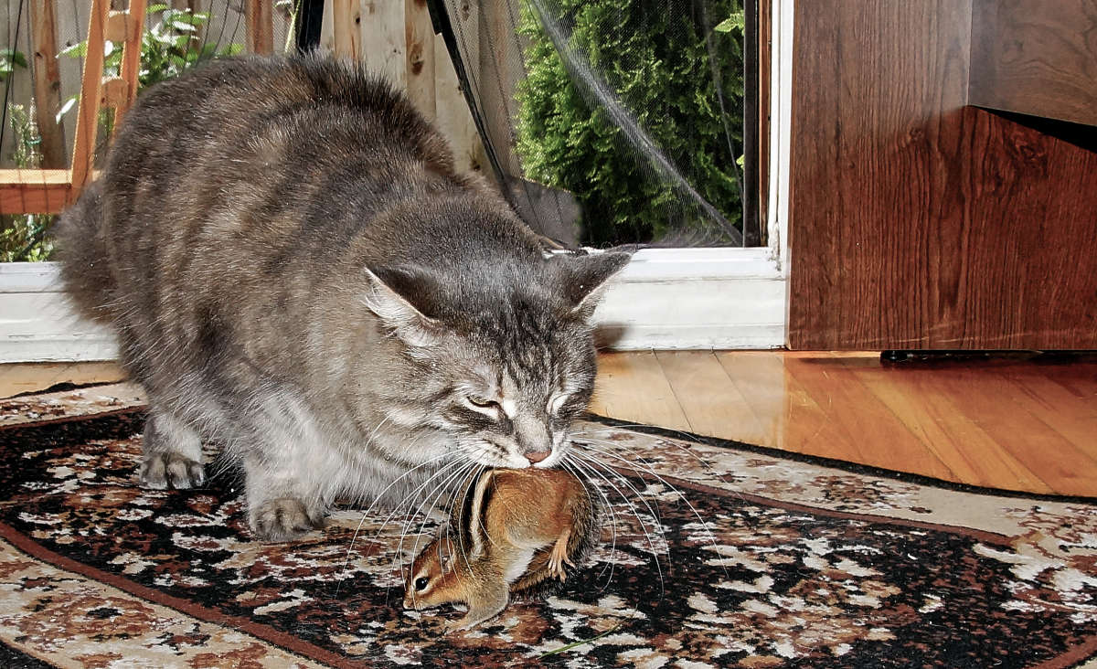 ����� �� ������ ����� �������  �� PhotoGeek.ru #�������� ��� #�������� ����������