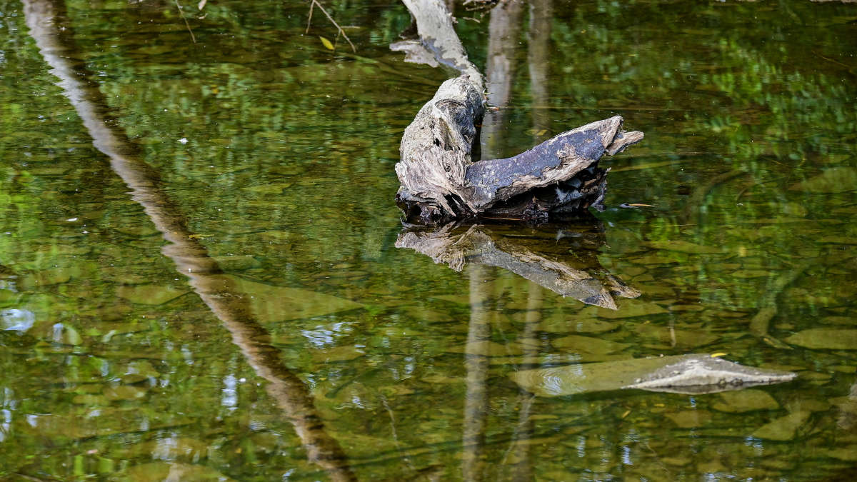 �� ����� �������? ����� �������  �� PhotoGeek.ru #������ ��� �������