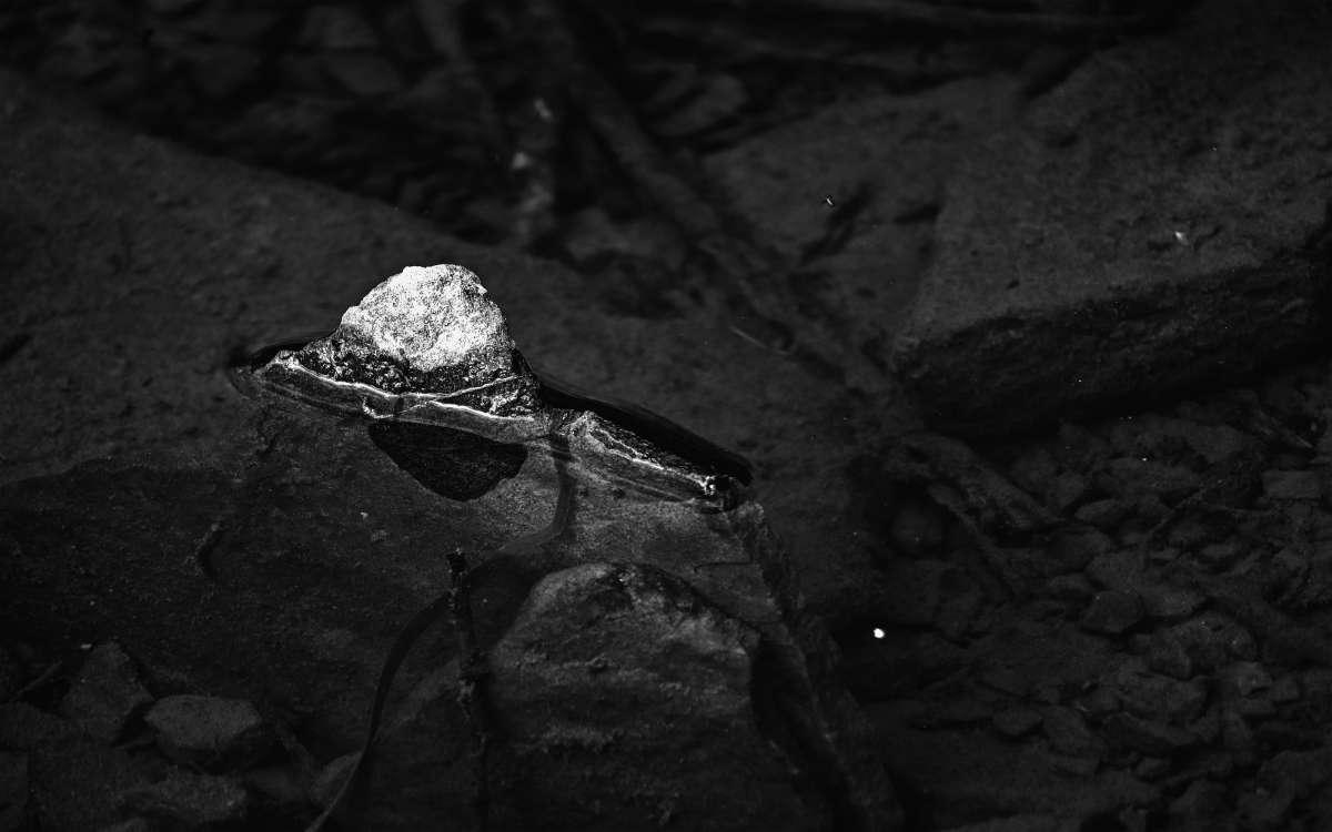 �������� � ��������� ���� ����� �������  �� PhotoGeek.ru #�������� ����������