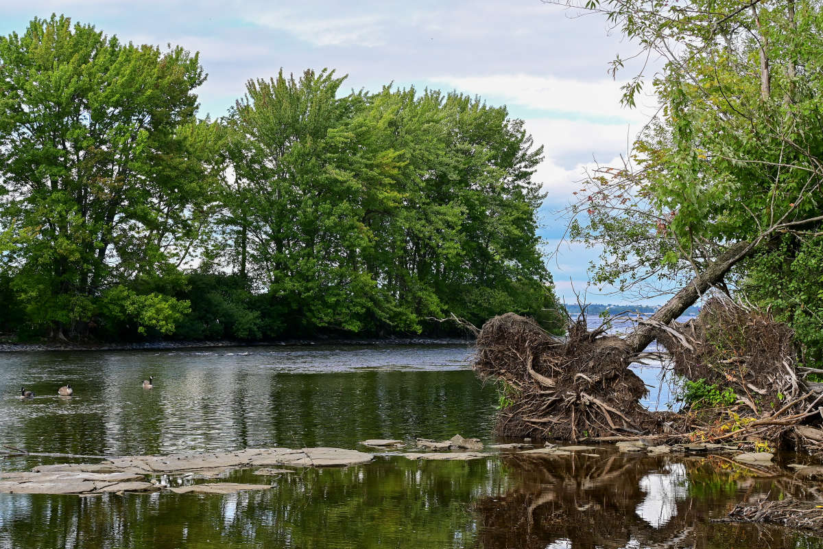 ������� � ������ ����� �������  �� PhotoGeek.ru #������ ��� �������