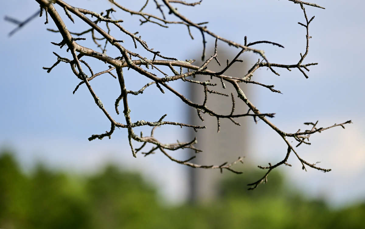 ������� ����� �������  �� PhotoGeek.ru #�������� ����������