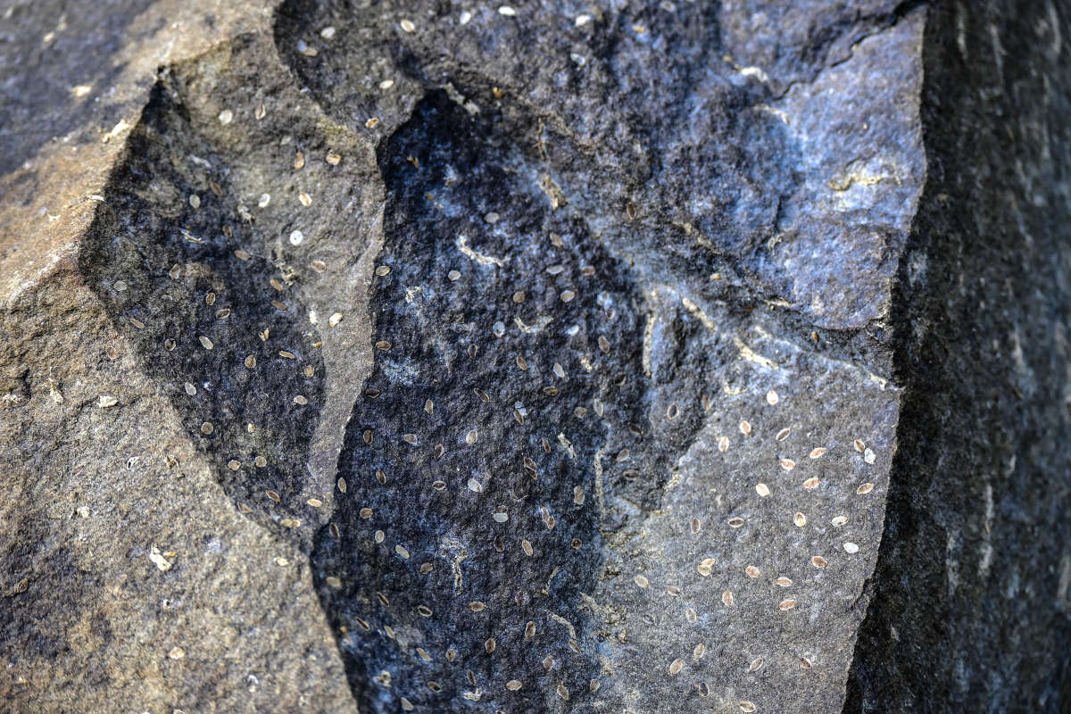 ������� ����� �������  �� PhotoGeek.ru #������ ��� �������