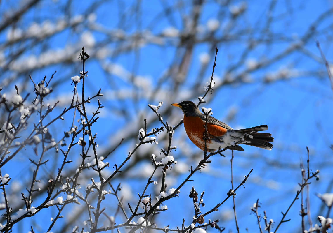 ���������� �������� ���� ����� �������  �� PhotoGeek.ru #�������� ��� #������ ��� �������