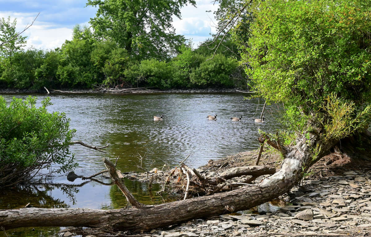 ������ ��������� ����� �������  �� PhotoGeek.ru #�������� ��� #������ ��� �������