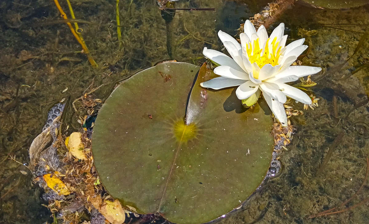 ������� ����� �������  �� PhotoGeek.ru #������ ��� �������