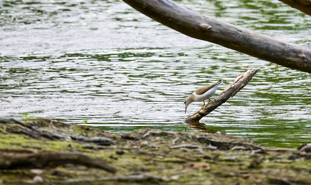 �� ��������� ����� �������  �� PhotoGeek.ru #�������� ��� #������ ��� �������