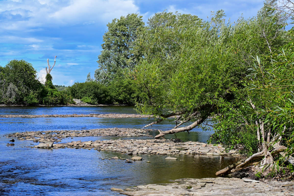 ���������� ������ ����� �������  �� PhotoGeek.ru #������ ��� �������