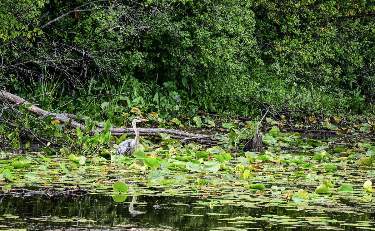 ����� ����� �������  �� PhotoGeek.ru #�������� ��� #������ ��� �������