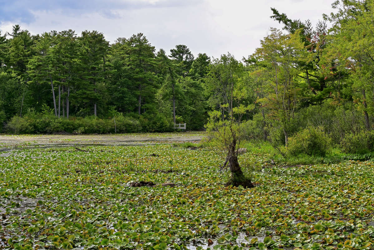 ����������� ������ ����� �������  �� PhotoGeek.ru #������ ��� �������