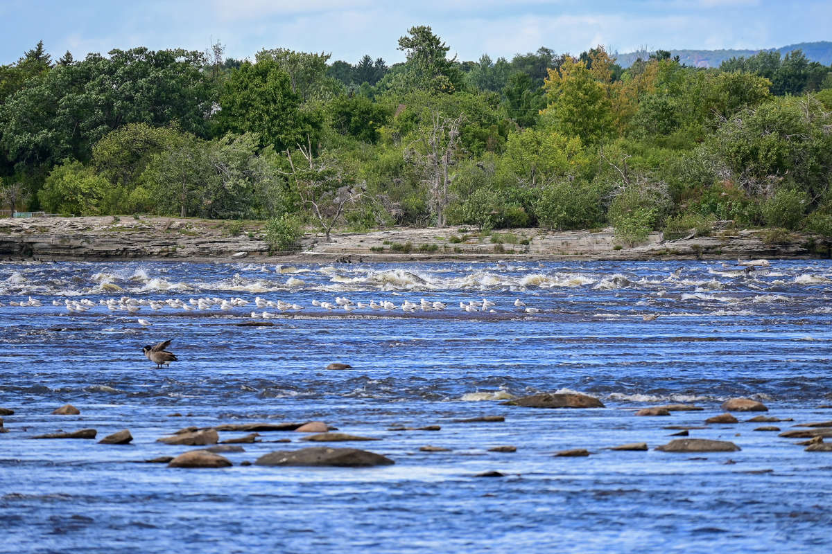 ��� �� ����� ����� �������  �� PhotoGeek.ru #�������� ��� #������ ��� �������