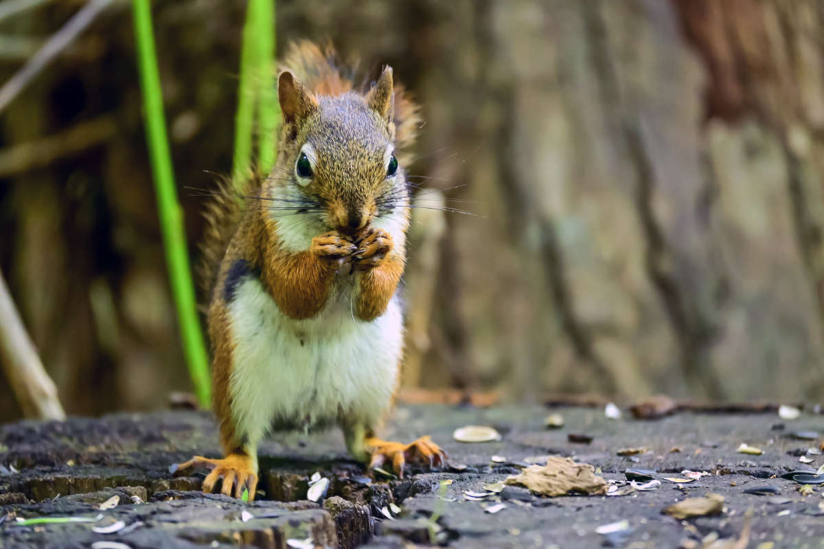 ����� ������ ����� �������  �� PhotoGeek.ru #�������� ���