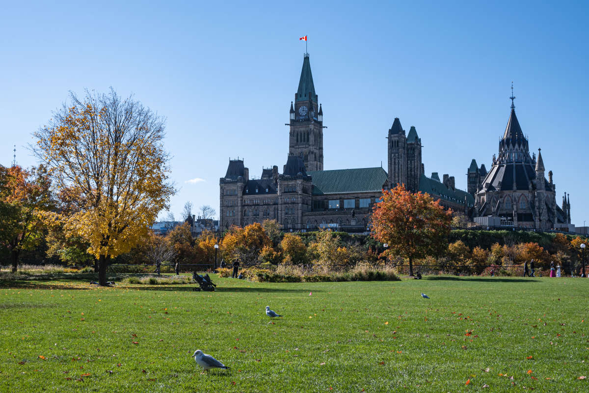 ������ ������. ����� �������  �� PhotoGeek.ru #�����