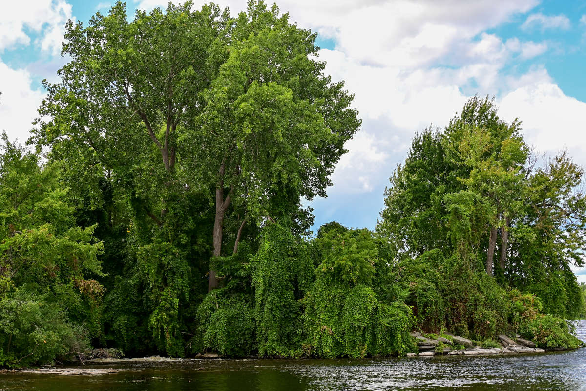 �������� ����� �������  �� PhotoGeek.ru #������ ��� �������