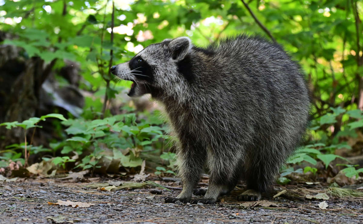 ����� ������ ����� �������  �� PhotoGeek.ru #�������� ���