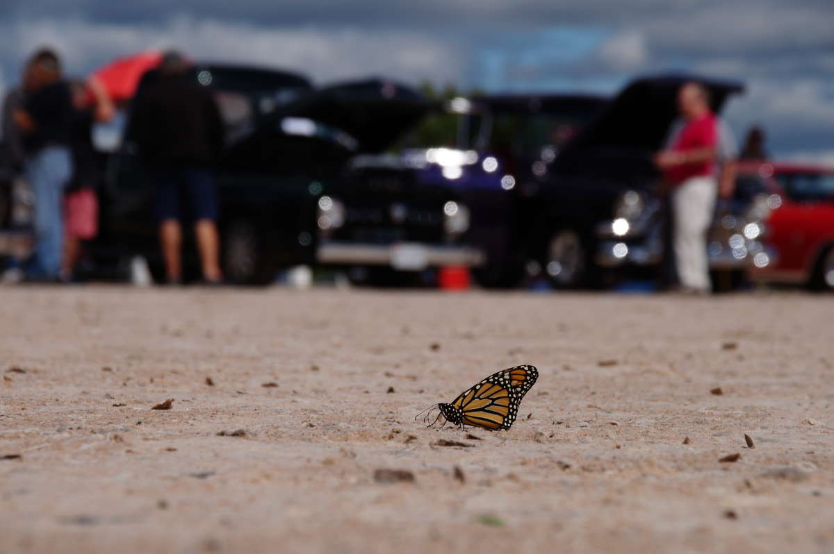 ��� ��� ��� ���������� ����� ����� �������  �� PhotoGeek.ru #�������� ����������