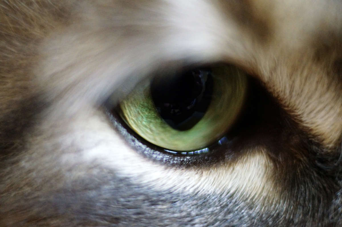 �������� ����� �������  �� PhotoGeek.ru #�������� ���