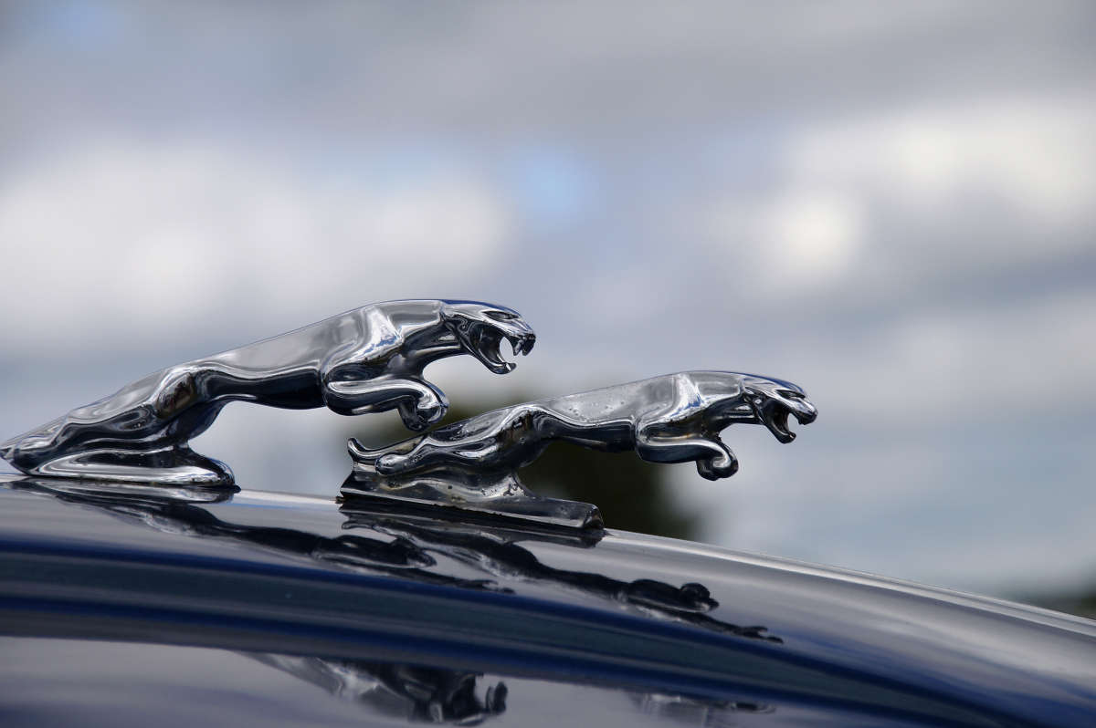 ��� ����������� ����� �������  �� PhotoGeek.ru #���������